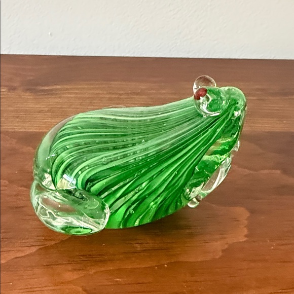 Glass Frog - Picture 4 of 9